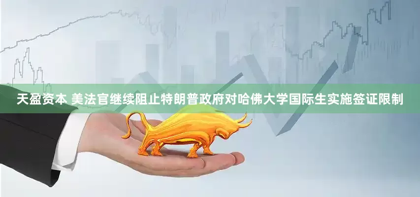 天盈资本 美法官继续阻止特朗普政府对哈佛大学国际生实施签证限制