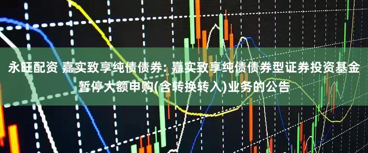 永旺配资 嘉实致享纯债债券: 嘉实致享纯债债券型证券投资基金暂停大额申购(含转换转入)业务的公告