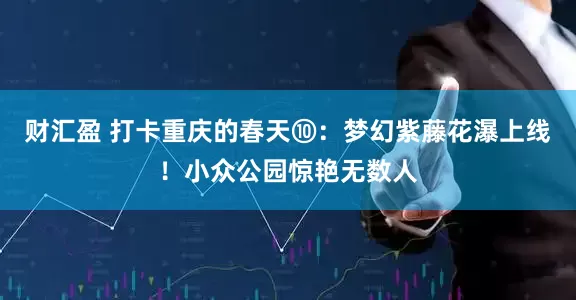 财汇盈 打卡重庆的春天⑩：梦幻紫藤花瀑上线！小众公园惊艳无数人