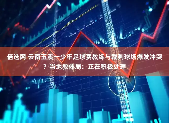 倍选网 云南玉溪一少年足球赛教练与裁判球场爆发冲突？当地教体局：正在积极处理